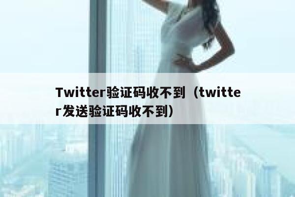 Twitter验证码收不到（twitter发送验证码收不到） 第1张