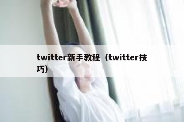 twitter新手教程（twitter技巧） 第1张