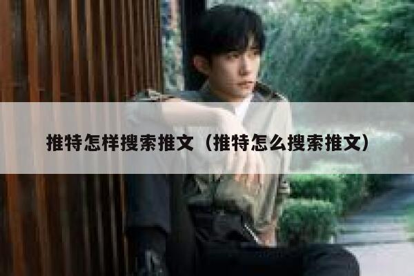 推特怎样搜索推文（推特怎么搜索推文） 第1张