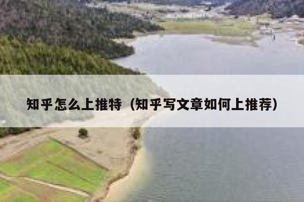 知乎怎么上推特（知乎写文章如何上推荐） 第1张