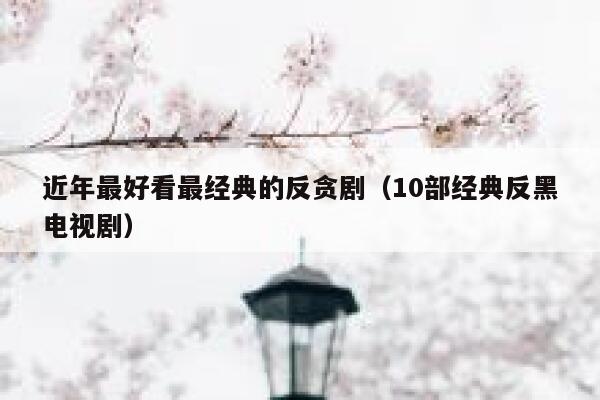 近年最好看最经典的反贪剧（10部经典反黑电视剧） 第1张