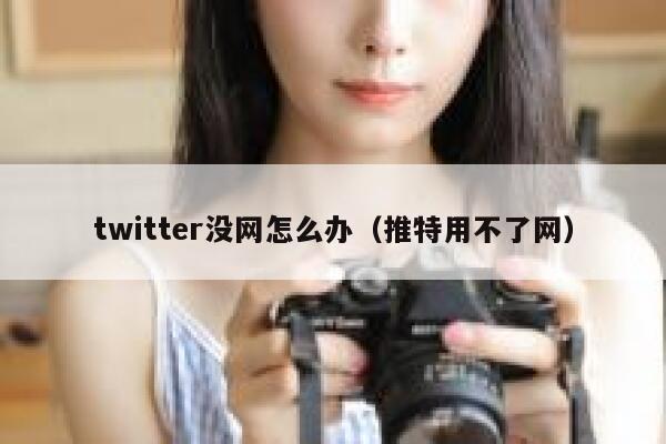 twitter没网怎么办（推特用不了网） 第1张
