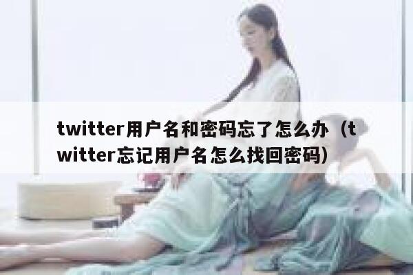 twitter用户名和密码忘了怎么办（twitter忘记用户名怎么找回密码） 第1张