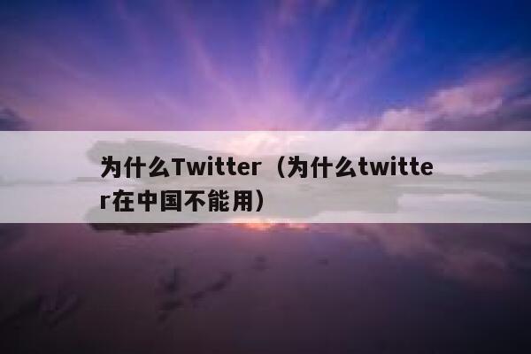 为什么Twitter（为什么twitter在中国不能用） 第1张