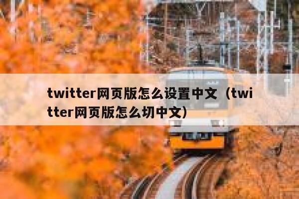 twitter网页版怎么设置中文(twitter网页版怎么切中文) 第1张 twitter网页版怎么设置中文(twitter网页版怎么切中文) 第1张