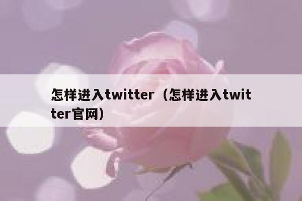 怎样进入twitter（怎样进入twitter官网） 第1张