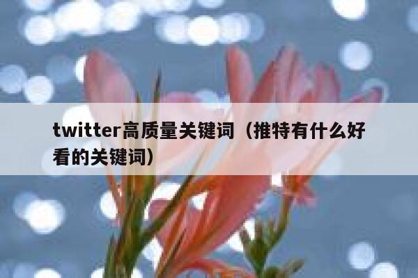 twitter高质量关键词(推特有什么好看的关键词) 第1张 twitter高质量关键词(推特有什么好看的关键词) 第1张