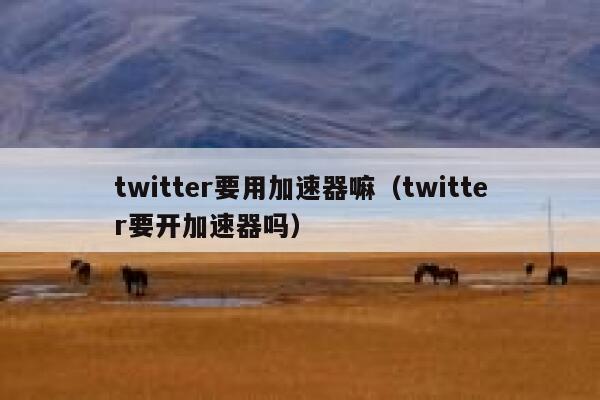twitter要用加速器嘛(twitter要开加速器吗) 第1张 twitter要用加速器嘛(twitter要开加速器吗) 第1张