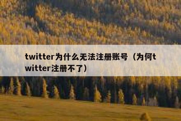 twitter为什么无法注册账号(为何twitter注册不了) 第1张 twitter为什么无法注册账号(为何twitter注册不了) 第1张