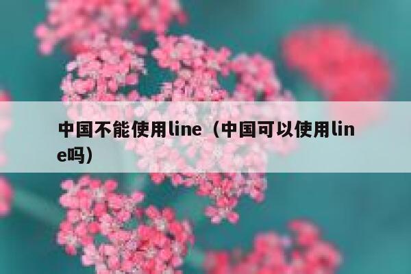 中国不能使用line（中国可以使用line吗） 第1张