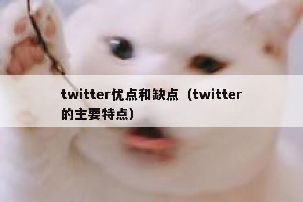 twitter优点和缺点(twitter的主要特点) 第1张 twitter优点和缺点(twitter的主要特点) 第1张