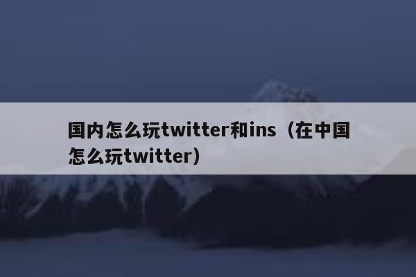 国内怎么玩twitter和ins(在中国怎么玩twitter) 第1张 国内怎么玩twitter和ins(在中国怎么玩twitter) 第1张