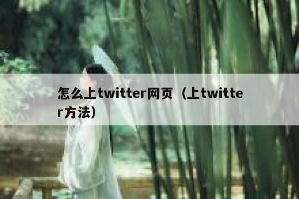 怎么上twitter网页（上twitter方法） 第1张