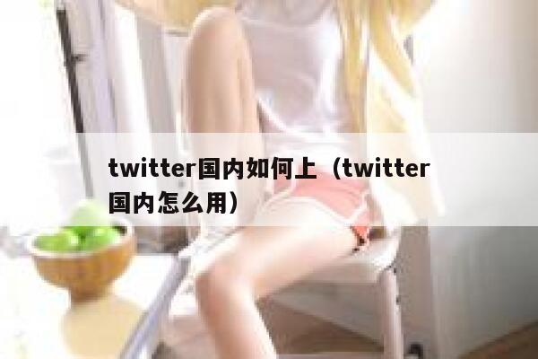 twitter国内如何上(twitter国内怎么用) 第1张 twitter国内如何上(twitter国内怎么用) 第1张