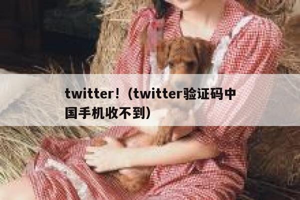 twitter!(twitter验证码中国手机收不到) 第1张 twitter!(twitter验证码中国手机收不到) 第1张