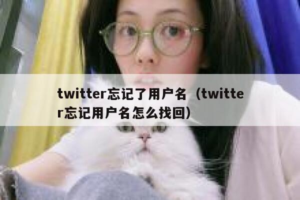 twitter忘记了用户名（twitter忘记用户名怎么找回） 第1张