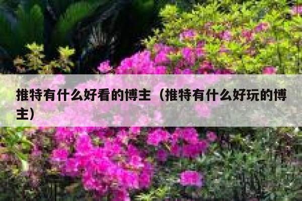 推特有什么好看的博主（推特有什么好玩的博主） 第1张