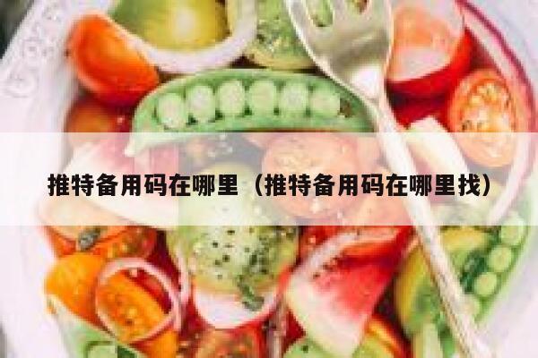 推特备用码在哪里（推特备用码在哪里找） 第1张