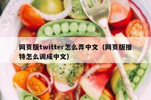 网页版twitter怎么弄中文（网页版推特怎么调成中文） 第1张