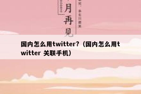 国内怎么用twitter?（国内怎么用twitter 关联手机） 第1张