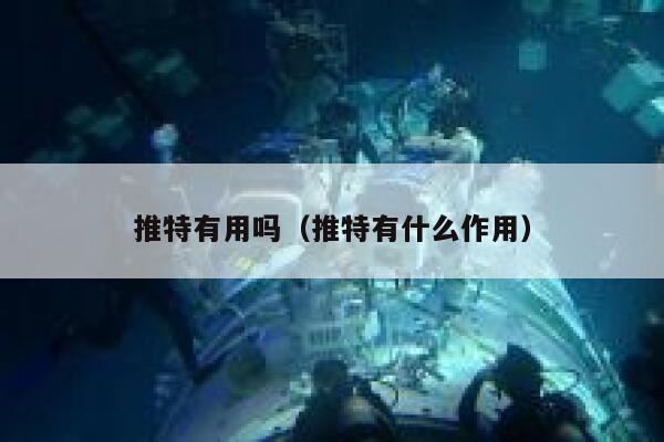 推特有用吗（推特有什么作用） 第1张