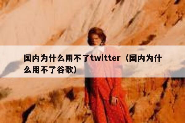 国内为什么用不了twitter（国内为什么用不了谷歌） 第1张
