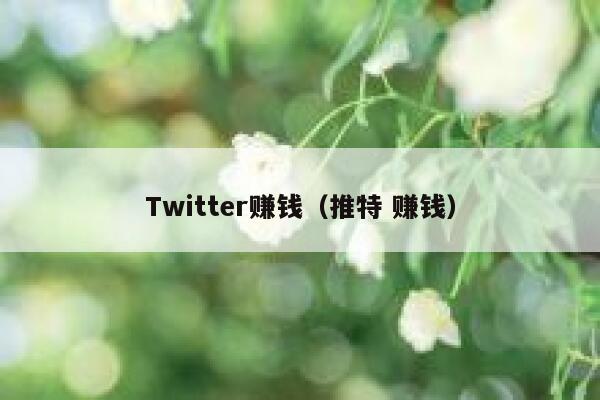 Twitter赚钱(推特 赚钱) 第1张 Twitter赚钱(推特 赚钱) 第1张