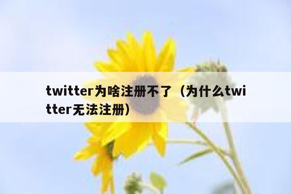twitter为啥注册不了（为什么twitter无法注册） 第1张