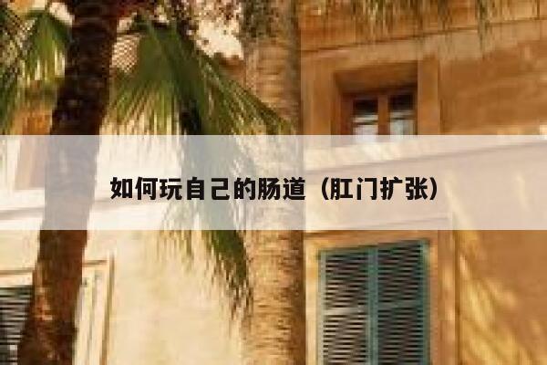 如何玩自己的肠道（肛门扩张） 第1张