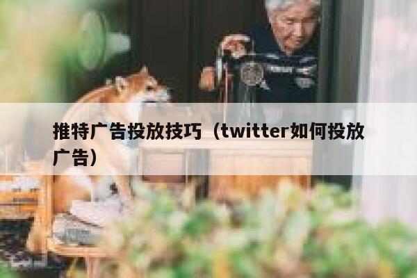 推特广告投放技巧（twitter如何投放广告） 第1张