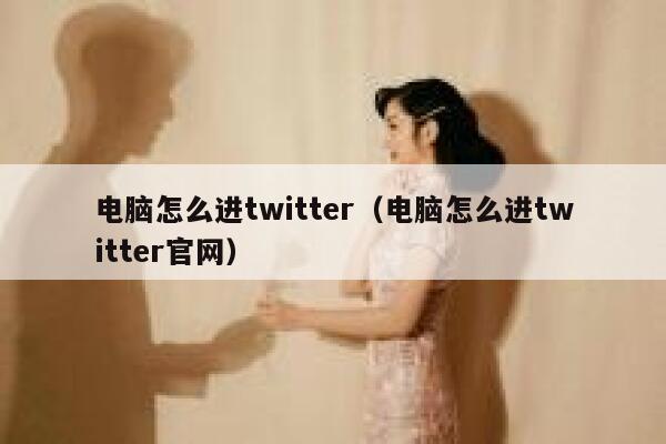 电脑怎么进twitter（电脑怎么进twitter官网） 第1张