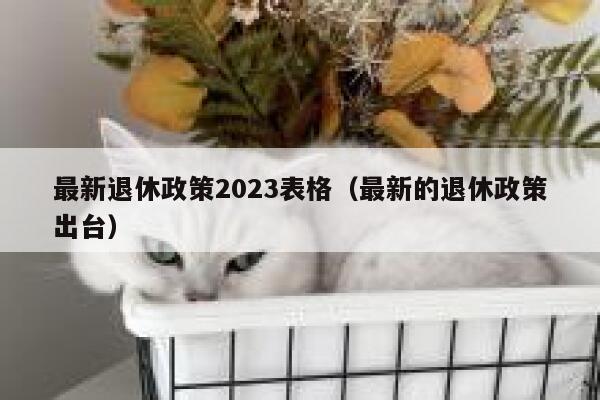 最新退休政策2023表格（最新的退休政策出台） 第1张