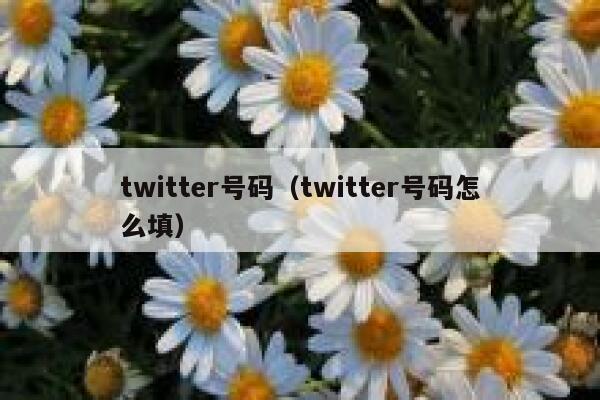 twitter号码（twitter号码怎么填） 第1张