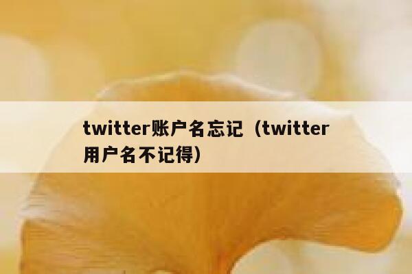 twitter账户名忘记(twitter用户名不记得) 第1张 twitter账户名忘记(twitter用户名不记得) 第1张