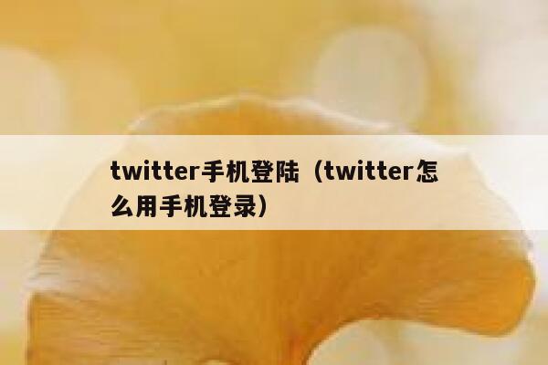 twitter手机登陆（twitter怎么用手机登录） 第1张