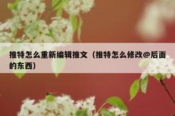 推特怎么重新编辑推文（推特怎么修改@后面的东西） 第1张