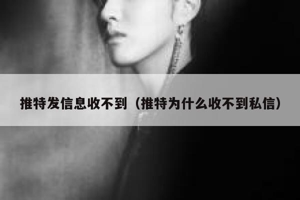 推特发信息收不到（推特为什么收不到私信） 第1张