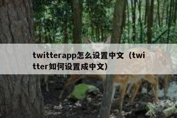 twitterapp怎么设置中文（twitter如何设置成中文） 第1张