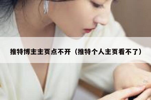 推特博主主页点不开（推特个人主页看不了） 第1张