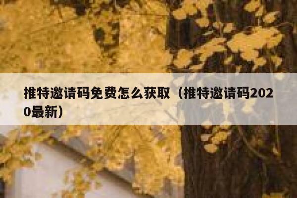 推特邀请码免费怎么获取(推特邀请码2020最新) 第1张 推特邀请码免费怎么获取(推特邀请码2020最新) 第1张