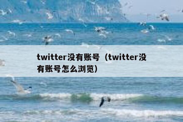 twitter没有账号（twitter没有账号怎么浏览） 第1张