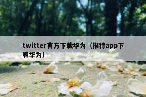 twitter官方下载华为(推特app下载华为) 第1张 twitter官方下载华为(推特app下载华为) 第1张
