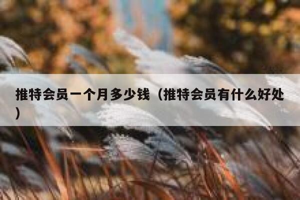 推特会员一个月多少钱（推特会员有什么好处） 第1张