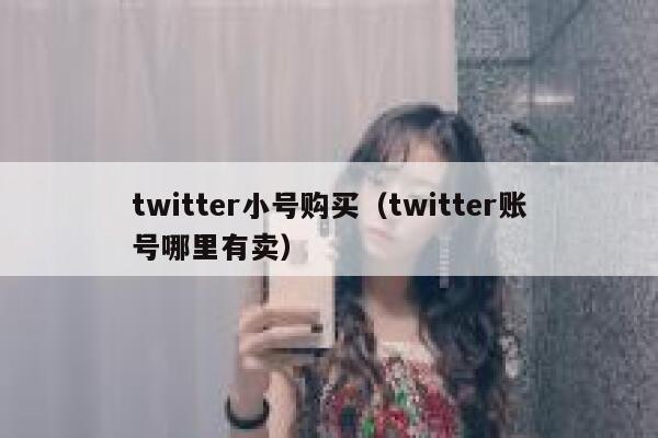 twitter小号购买（twitter账号哪里有卖） 第1张