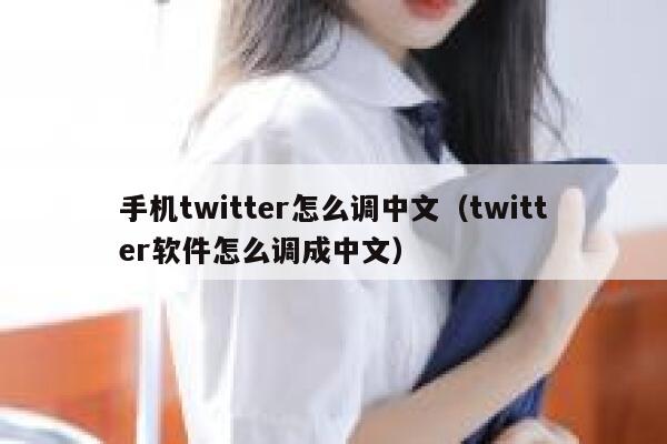 手机twitter怎么调中文（twitter软件怎么调成中文） 第1张