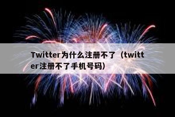 Twitter为什么注册不了（twitter注册不了手机号码） 第1张