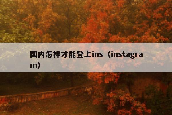 国内怎样才能登上ins（instagram） 第1张