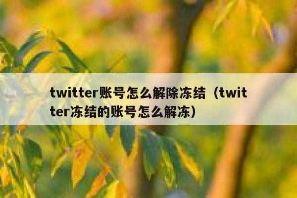 twitter账号怎么解除冻结（twitter冻结的账号怎么解冻） 第1张