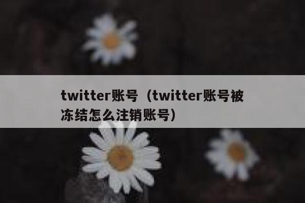 twitter账号（twitter账号被冻结怎么注销账号） 第1张