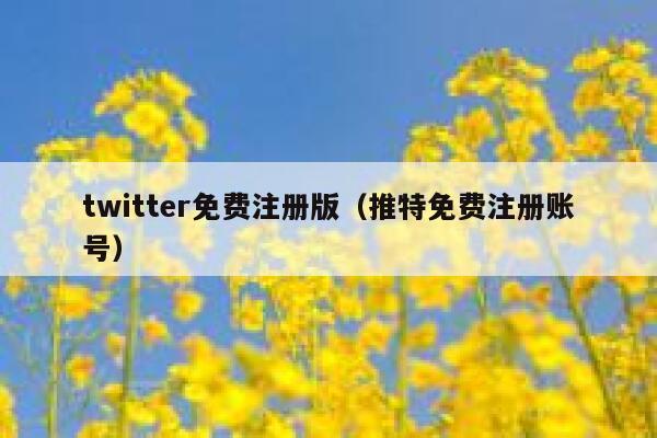 twitter免费注册版（推特免费注册账号） 第1张